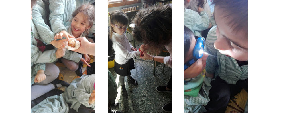 Semana Dental en el Colegio San Agustín