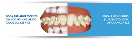 coped ortodoncia 4